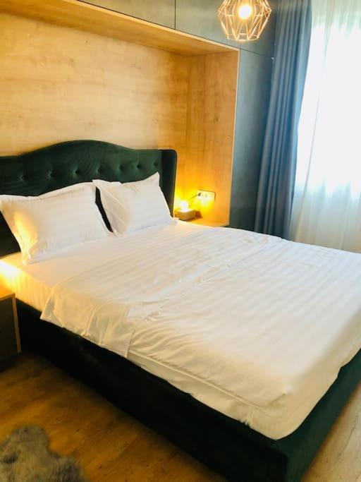 Joy City Stay Victoriei 7G-13 ทิมิชัวรา ภายนอก รูปภาพ
